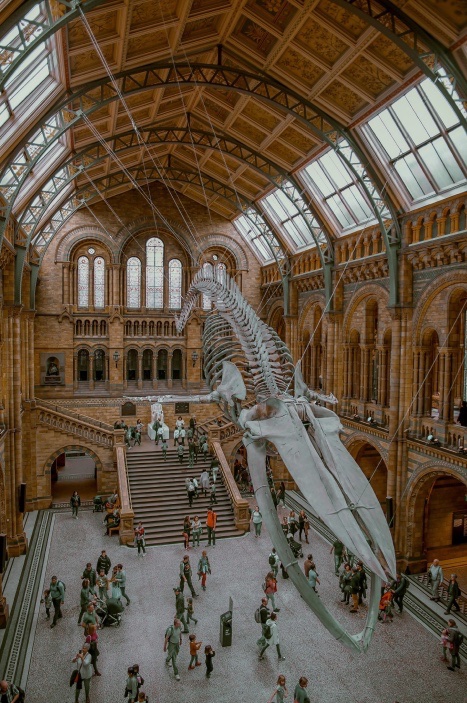 the main entrance hall of the museum