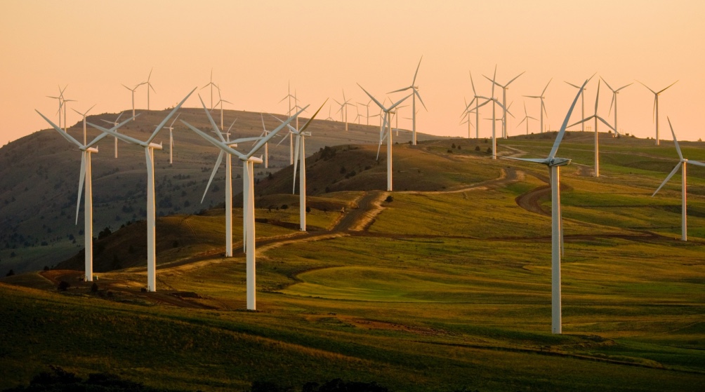 A field of giant wind mills, which are creating greener energy.